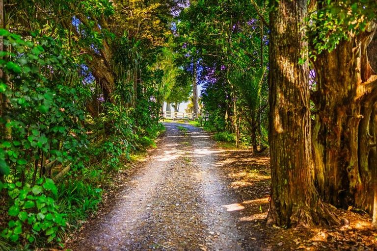 Photo of property in 370 Hautapu Road, Pakaraka, Kaikohe, 0472