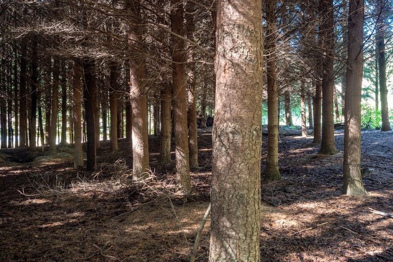 Photo of property in 334 Malaghans Road, Dalefield, Queenstown, 9371