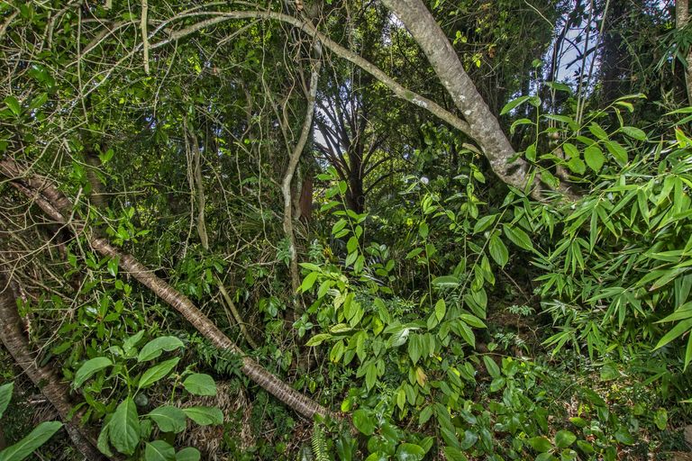 Photo of property in 48 Scott Road, Tamaterau, Whangarei, 0174