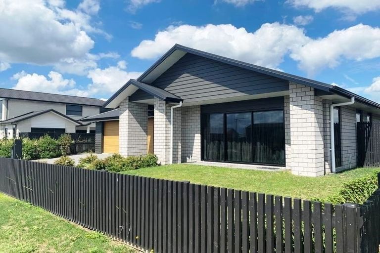 Photo of property in 41 Lulu Avenue, Chartwell, Hamilton, 3210