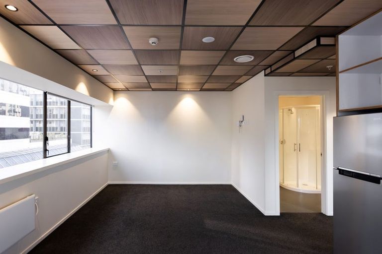 Photo of property in Te Kainga Te Aka, 203 Willis Street, Te Aro, Wellington, 6011