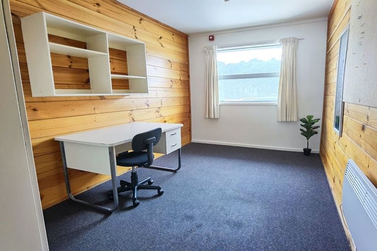 Photo of property in Drummond Street Flats, 15/19u Drummond Street, Mount Cook, Wellington, 6021