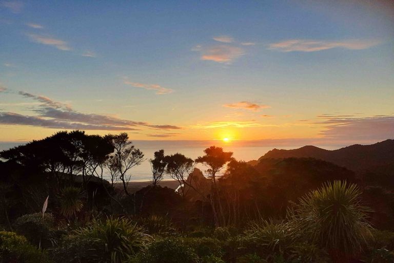 Photo of property in 132 Lone Kauri Road, Karekare, New Lynn, 0772