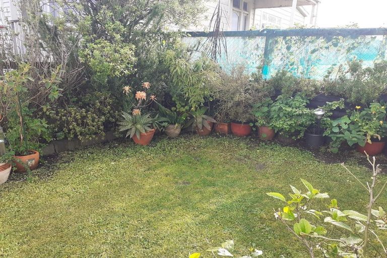 Photo of property in 429 Adelaide Road, Berhampore, Wellington, 6023