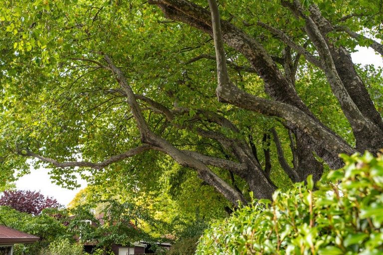 Photo of property in 15b Heuchan Lane, Wanaka, 9305