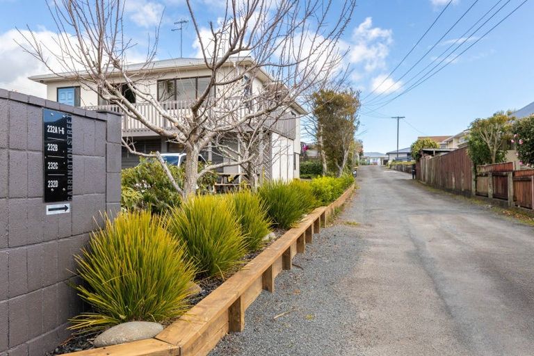 Photo of property in 232a Carrington Street, Vogeltown, New Plymouth, 4310