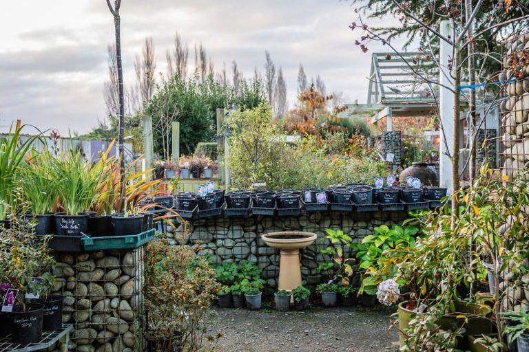 Photo of property in 161 Temuka-orari Highway, Winchester, 7985