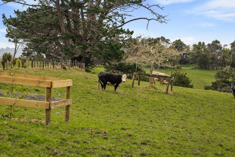 Photo of property in 167 Anderson Road, Helensville, 0875