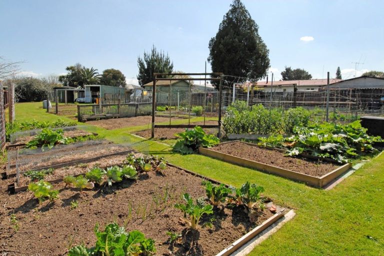 Photo of property in 19 Kingfisher Way, Te Kowhai, Hamilton, 3288