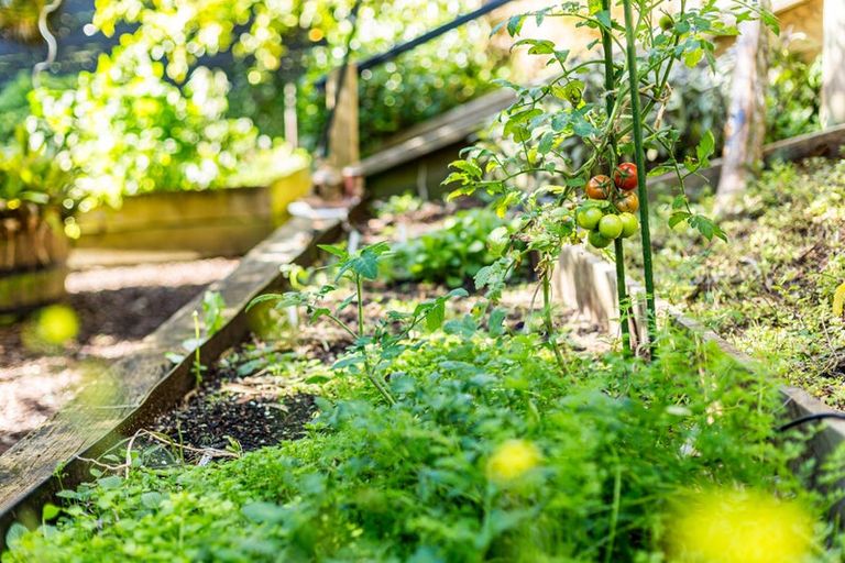 Photo of property in 52 Walter Road, Lowry Bay, Lower Hutt, 5013