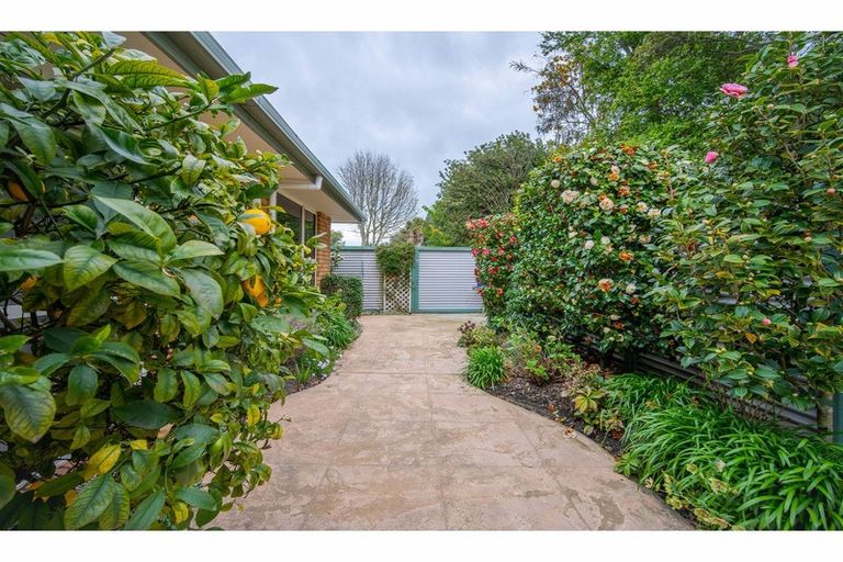 Photo of property in 130a Halswell Road, Hillmorton, Christchurch, 8025