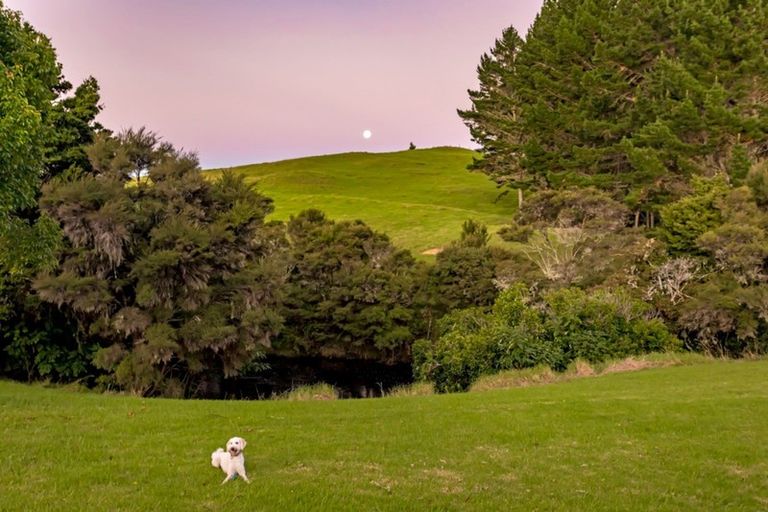 Photo of property in 78 River Drive, Kerikeri, 0294
