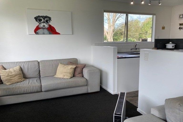 Photo of property in 50 Hastings Street, Southbridge, 7602