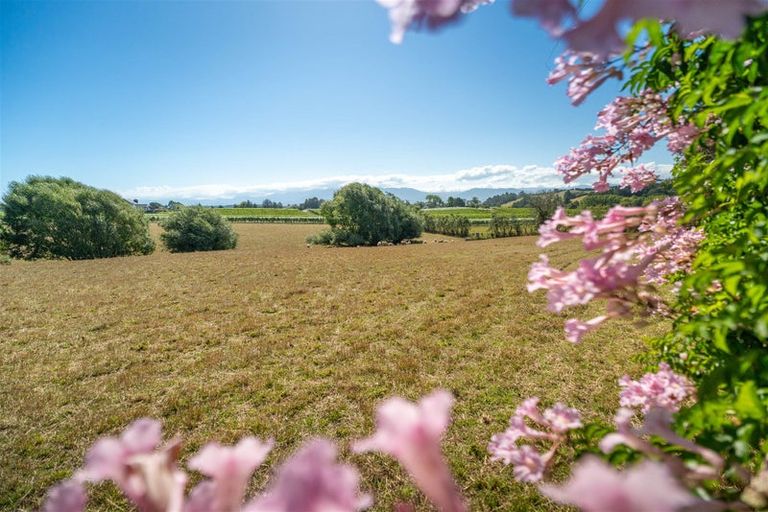 Photo of property in 50 Cliff Road, Tasman, Upper Moutere, 7173