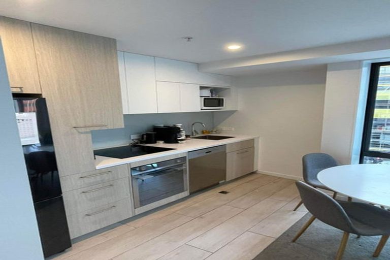 Photo of property in Vsp South, 301/166u Victoria Street, Te Aro, Wellington, 6011