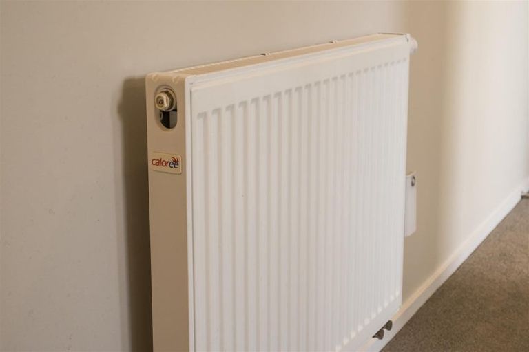 Photo of property in 10 Mcilwaine Place, Marton, 4710