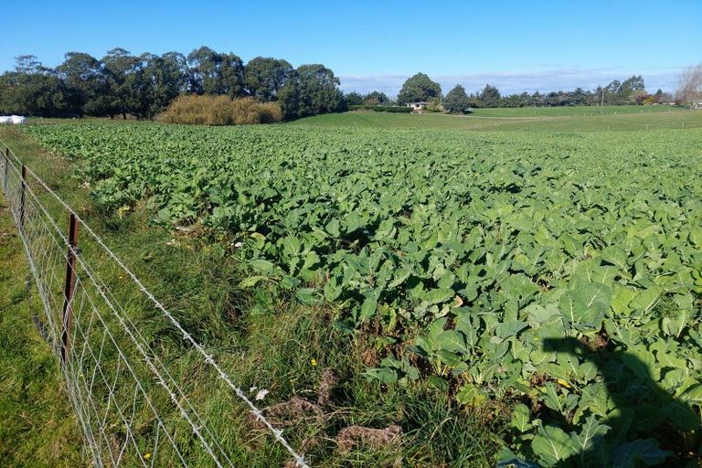 Photo of property in 2 Essex Street, Weston, Oamaru, 9401