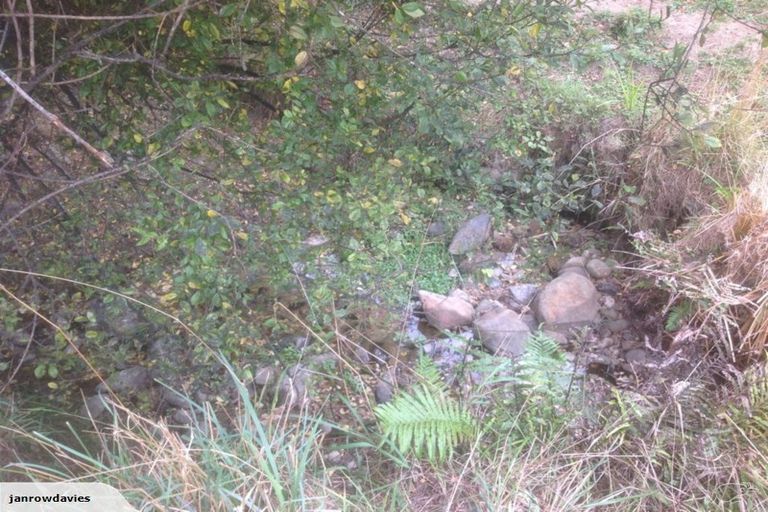 Photo of property in 265 Maungakawa Road, Cambridge, 3496