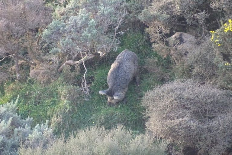 Photo of property in Long Gully, 380 Hawkins Hill Road, Brooklyn, Wellington, 6021