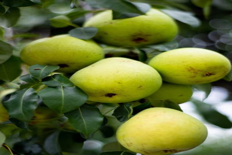 Photo of property in 76 Sunderland Street, Clyde, 9330