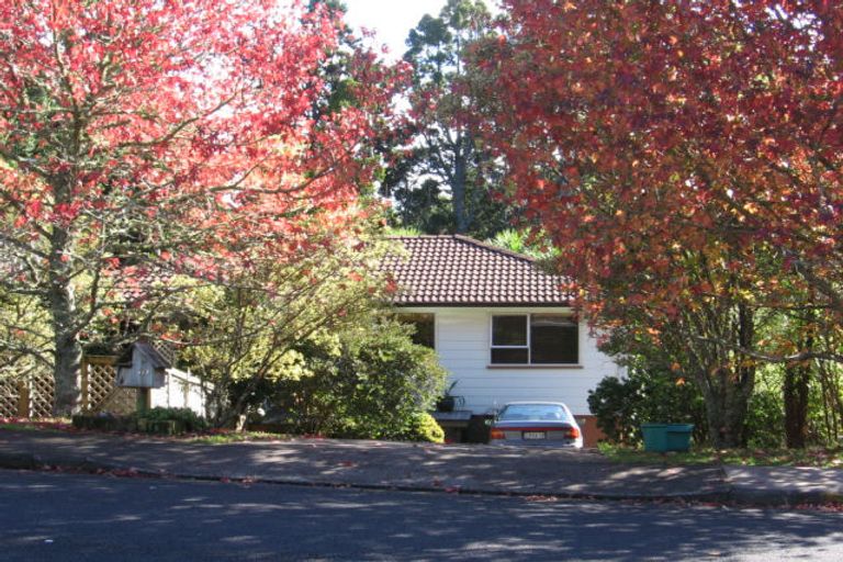 Photo of property in 117 Daffodil Street, Titirangi, Auckland, 0604