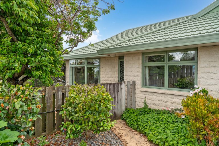Photo of property in 143 Dixon Street, Masterton, 5810