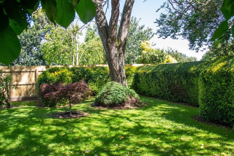 Photo of property in 8 Iorns Street, Masterton, 5810