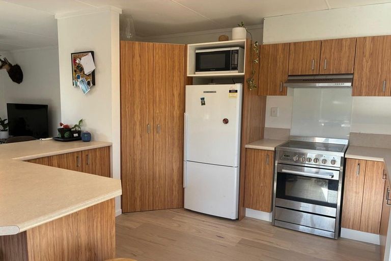 Photo of property in 48 Antimony Crescent, Cromwell, 9310