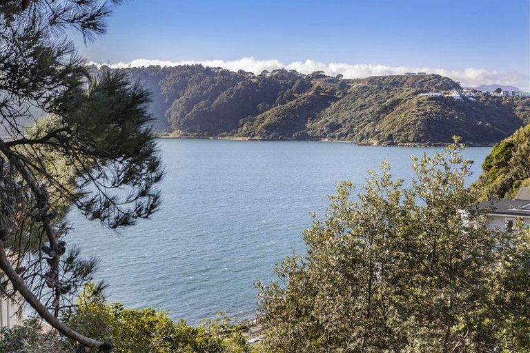 Photo of property in 2/12 Te Anau Avenue, Hataitai, Wellington, 6021