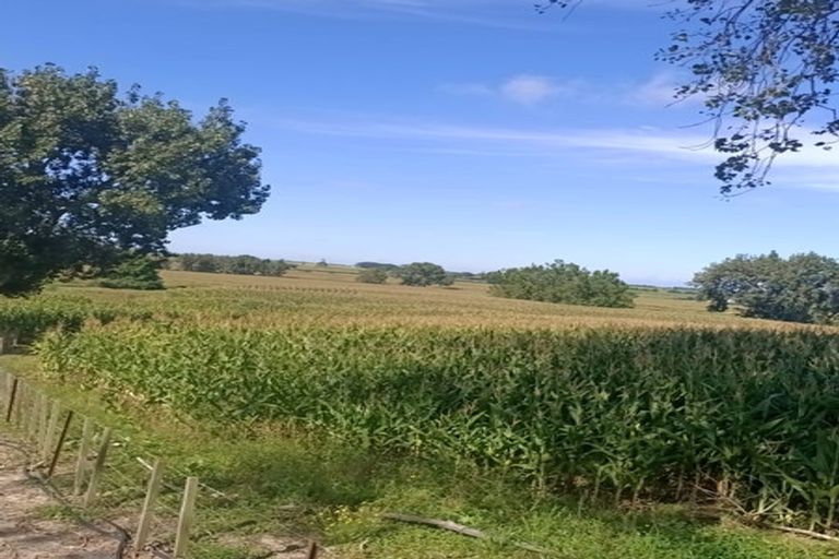 Photo of property in 863 Tauhei Road, Tauhei, Morrinsville, 3375