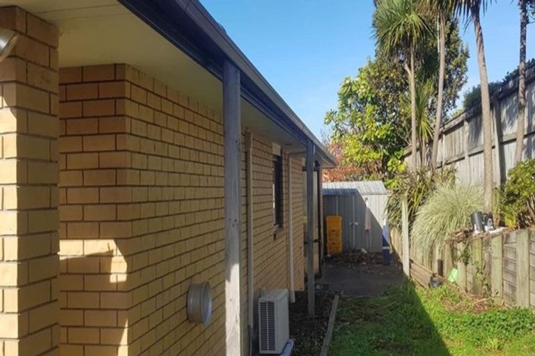 Photo of property in 19 Lieshout Way, Pukekohe, 2120
