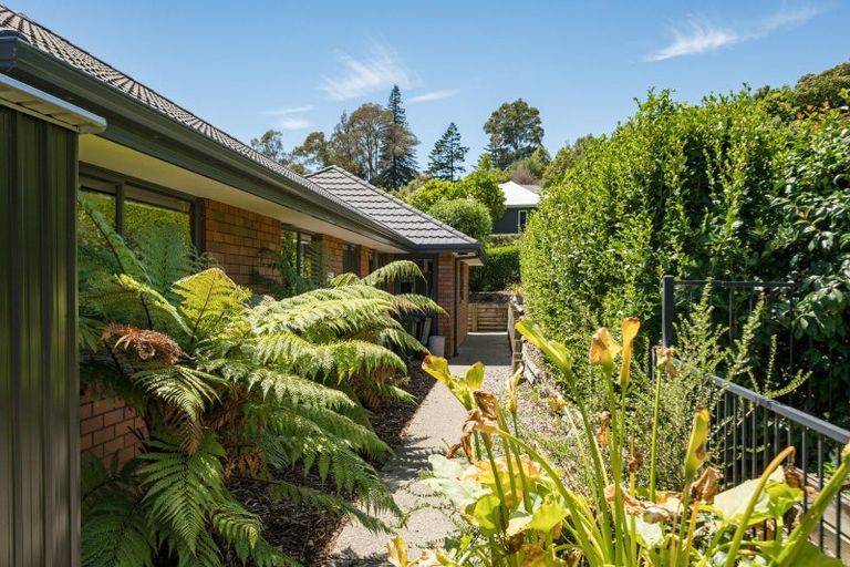 Photo of property in 12 Hillplough Heights, Richmond, 7020