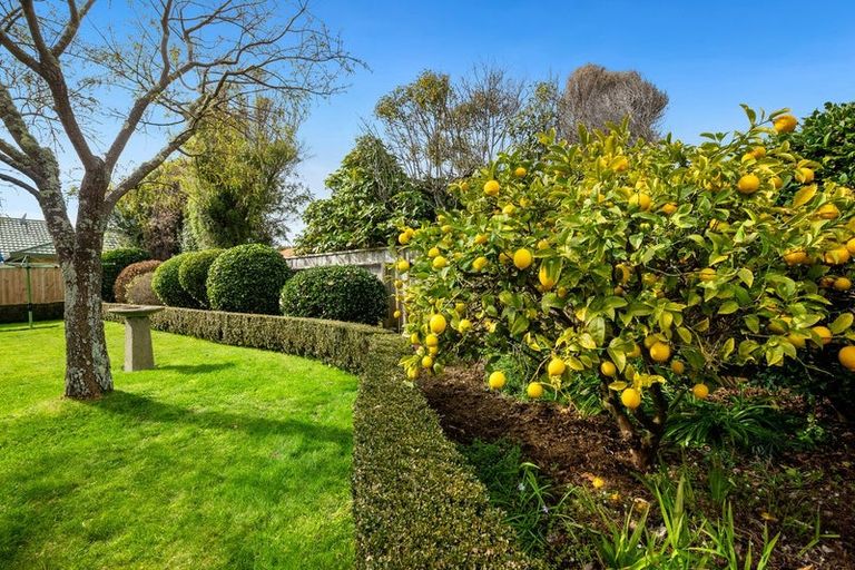 Photo of property in 58 Cedar Drive, Paraparaumu Beach, Paraparaumu, 5032