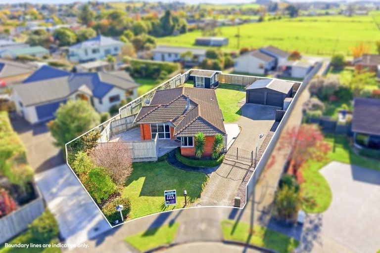 Photo of property in 42 Caroline Drive, Feilding, 4702