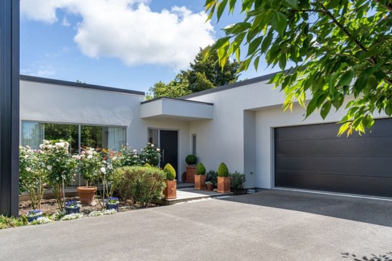 Photo of property in 19 Westwood Avenue, Greytown, 5712