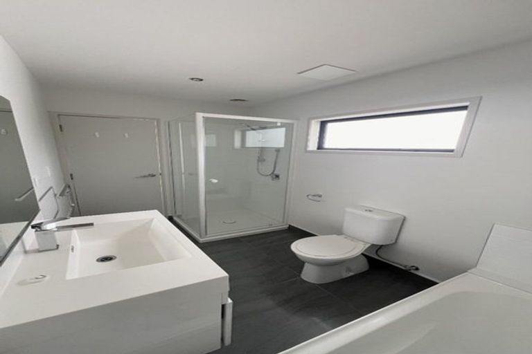 Photo of property in 195u1 Massey Street, Frankton, Hamilton, 3204