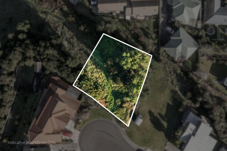 Photo of property in 21 Ohinemuri Place, Paeroa, 3600