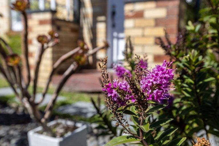 Photo of property in 20 Rayner Road, Huntly, 3700