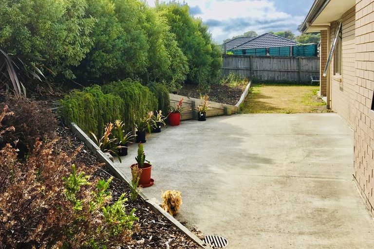 Photo of property in 7 John Andrew Drive, Warkworth, 0910