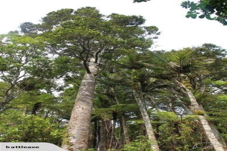 Photo of property in 304 School Road, Waimauku, 0881