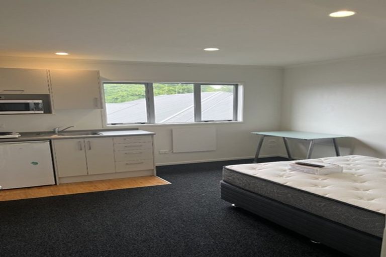 Photo of property in 16u2 Greensboro Street, Hamilton East, Hamilton, 3216