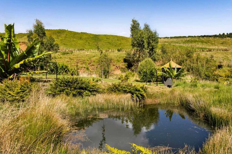 Photo of property in 2 Te Ara Karoiroa Road, 4374