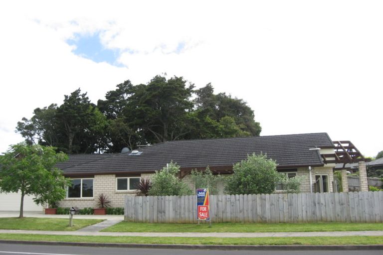 Photo of property in 100 Reynolds Road, Pukekohe, 2120