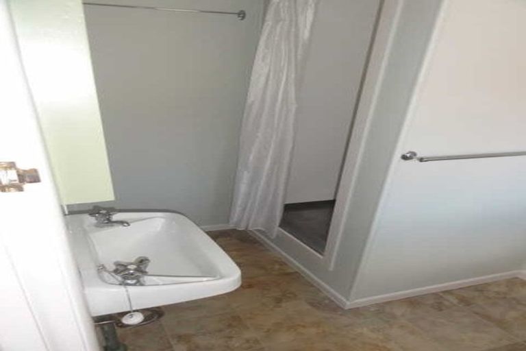 Photo of property in 241u2 Ulster Street, Whitiora, Hamilton, 3200