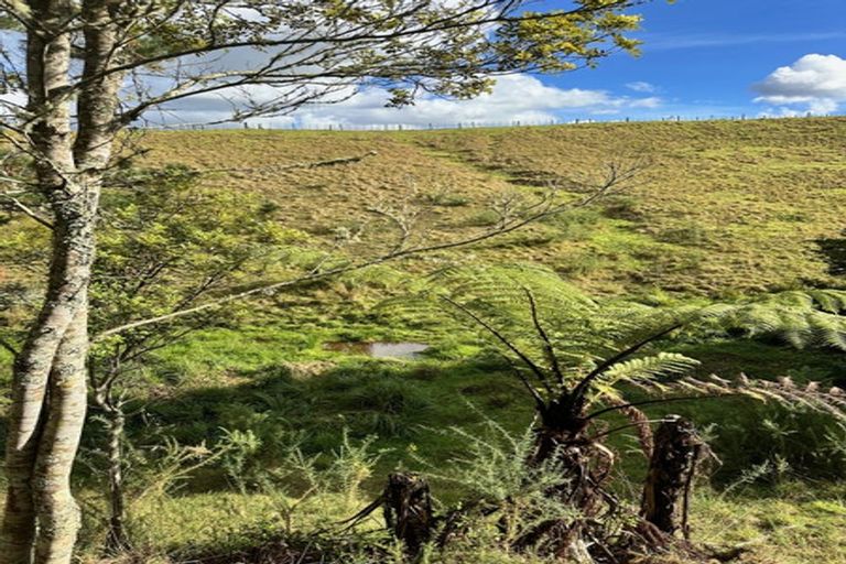 Photo of property in 509 Wiroa Road, Kerikeri, 0293