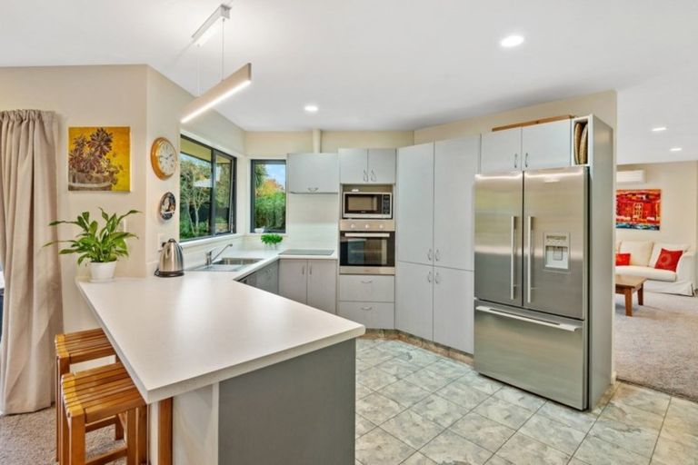 Photo of property in 21 Birchwood Close, Prebbleton, 7604