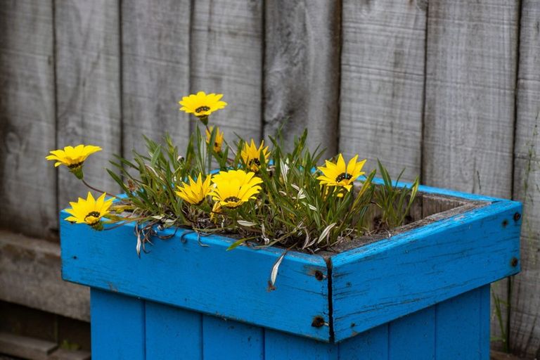 Photo of property in 1 Pohutukawa Grove, Titahi Bay, Porirua, 5022