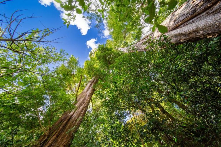 Photo of property in 1/22 Bettina Road, Fairfield, Hamilton, 3214