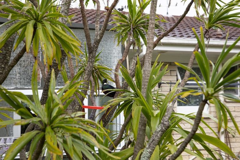 Photo of property in 23a/3 Eversleigh Road, Belmont, Auckland, 0622
