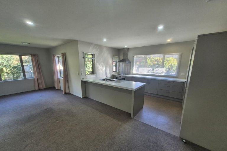 Photo of property in 1c Moule Street, Addington, Christchurch, 8024